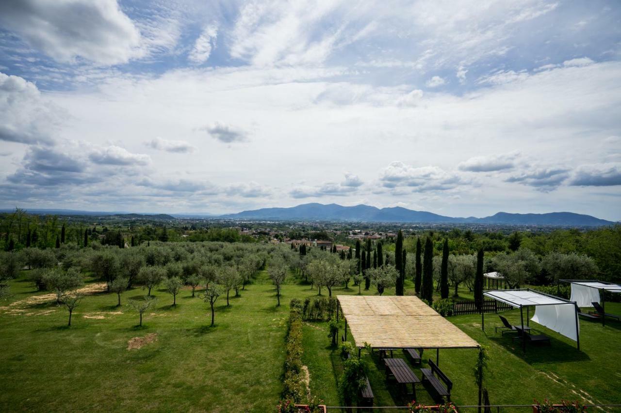 Accogliente Alloggio Con Vista E Piscina Лукка Экстерьер фото