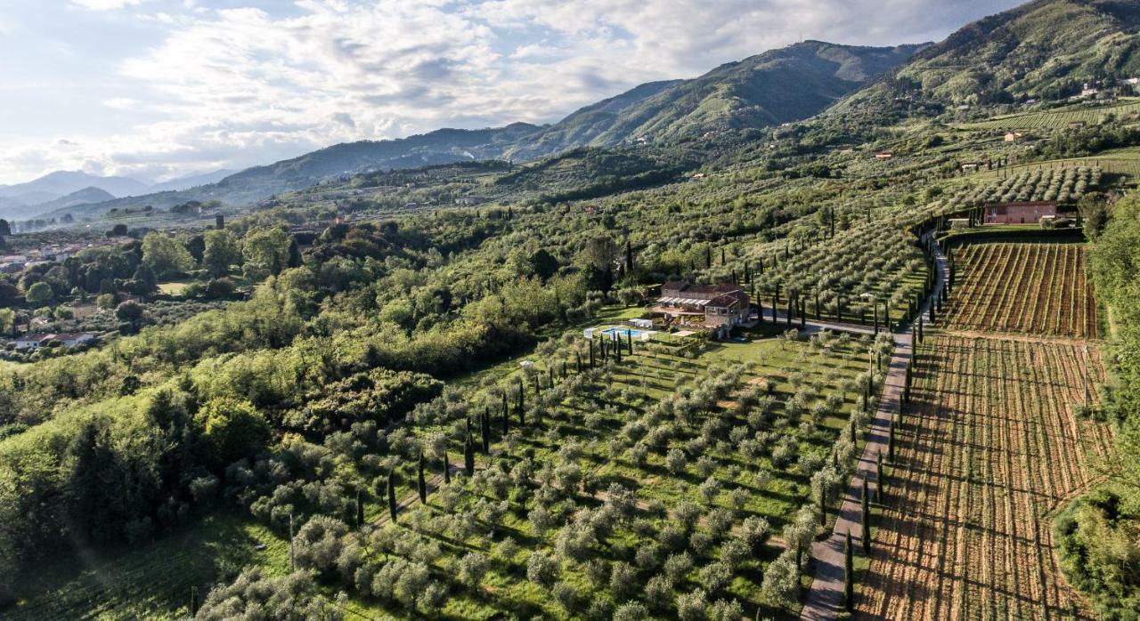 Accogliente Alloggio Con Vista E Piscina Лукка Экстерьер фото